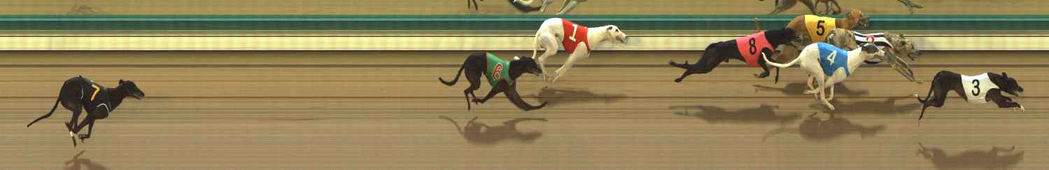 Photo finish for The Meadows Race 3