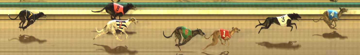 Photo finish for The Meadows Race 4