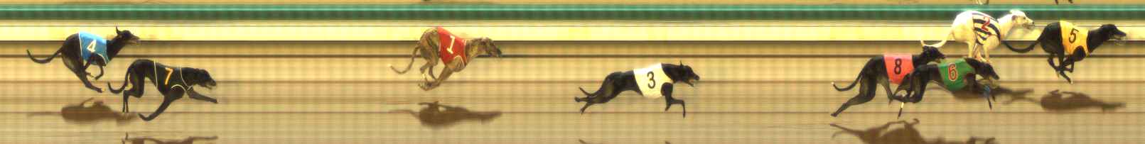 Photo finish for The Meadows Race 5