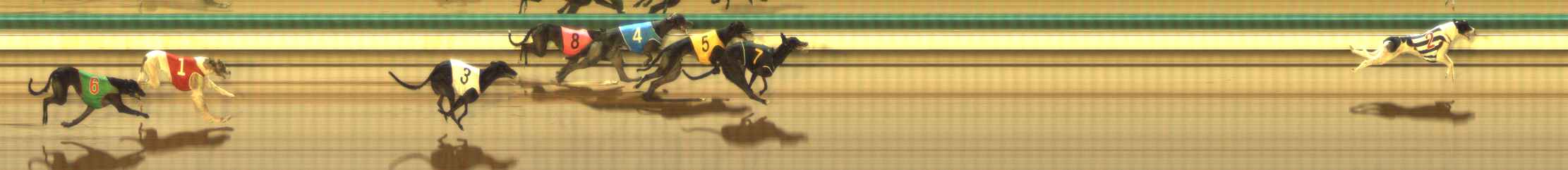 Photo finish for The Meadows Race 7