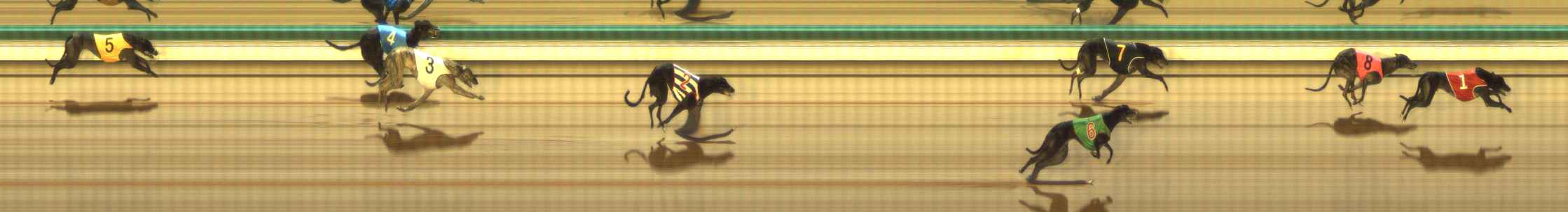 Photo finish for The Meadows Race 8