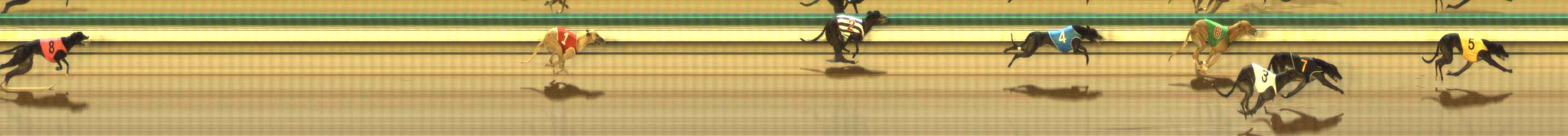 Photo finish for The Meadows Race 10