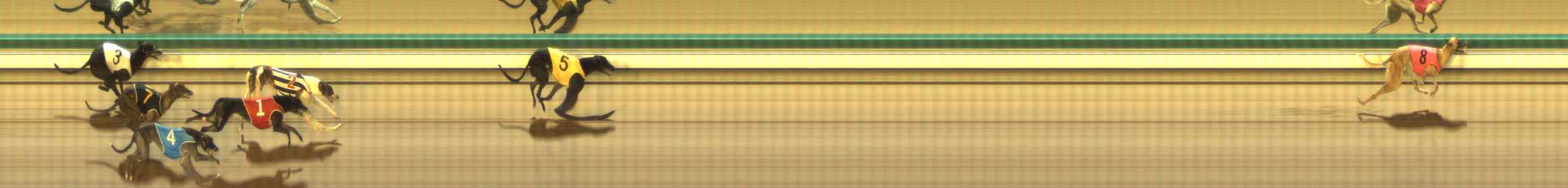 Photo finish for The Meadows Race 11