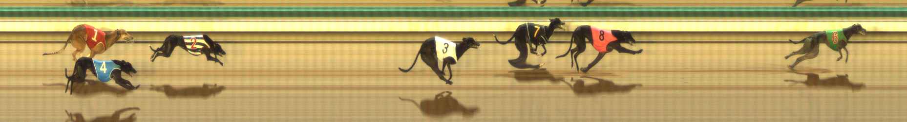 Photo finish for The Meadows Race 12