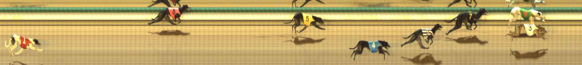 Photo finish for The Meadows Race 9