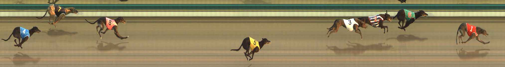 Photo finish for The Meadows Race 1