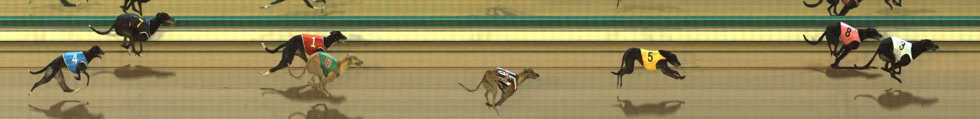 Photo finish for The Meadows Race 2