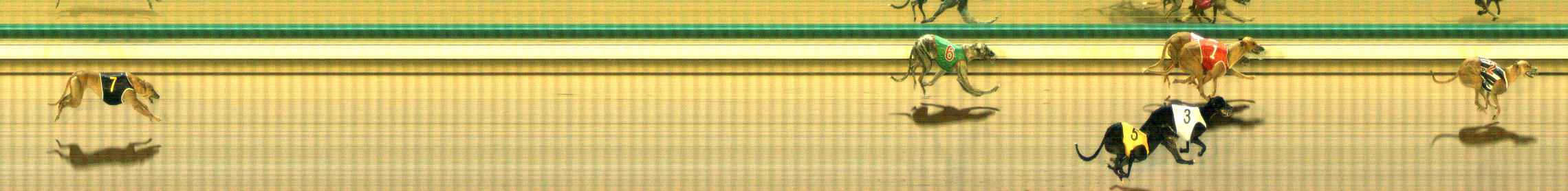 Photo finish for The Meadows Race 3