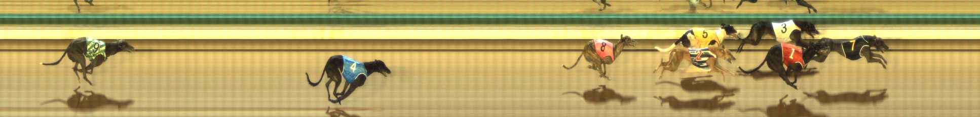 Photo finish for The Meadows Race 4