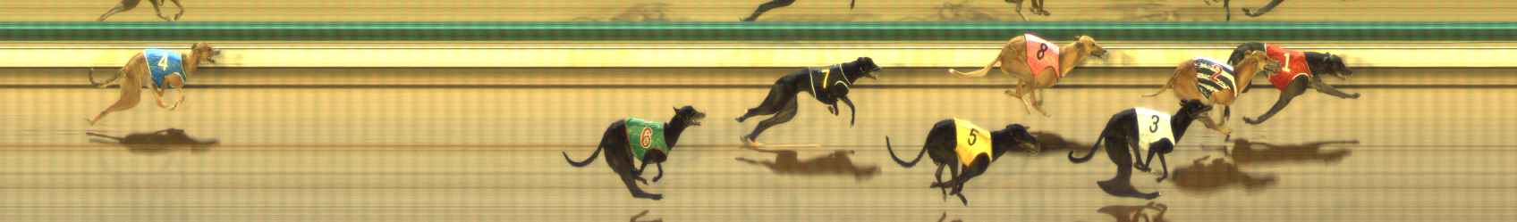 Photo finish for The Meadows Race 5