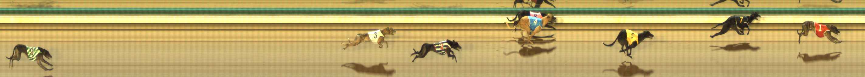 Photo finish for The Meadows Race 6