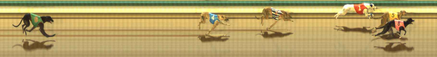 Photo finish for The Meadows Race 7