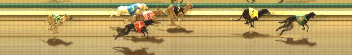 Photo finish for The Meadows Race 8