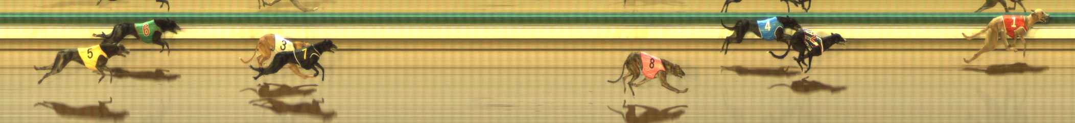 Photo finish for The Meadows Race 9