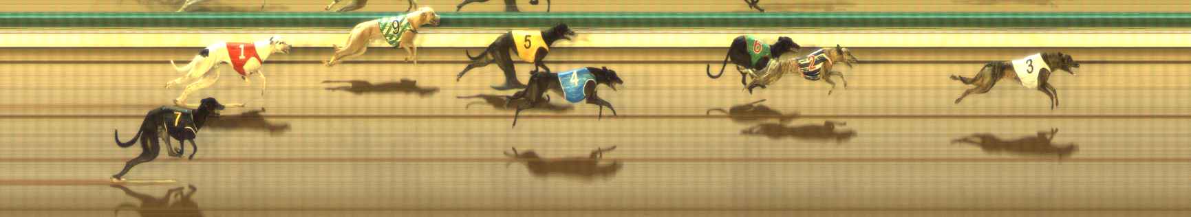 Photo finish for The Meadows Race 11