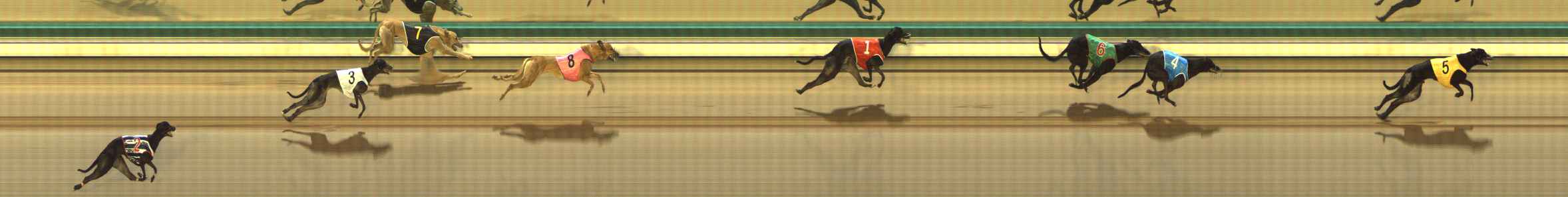 Photo finish for The Meadows Race 2