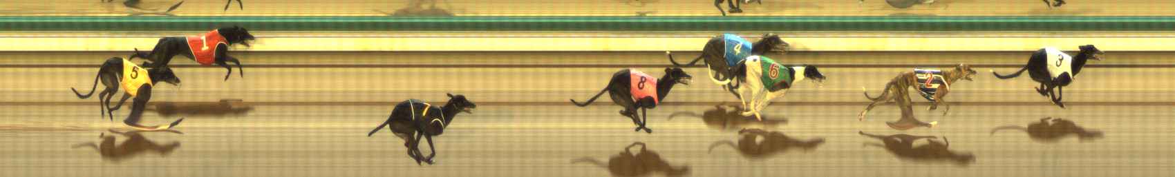Photo finish for The Meadows Race 3