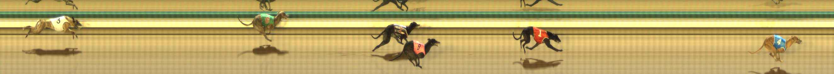 Photo finish for The Meadows Race 4