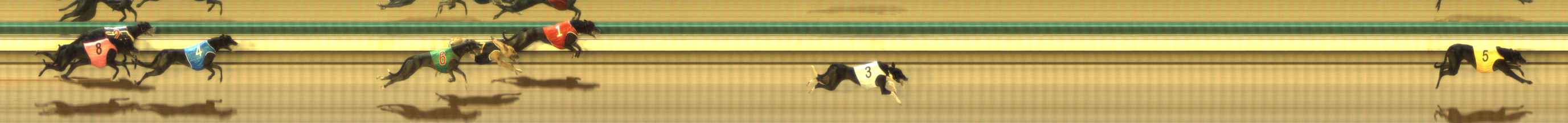 Photo finish for The Meadows Race 5