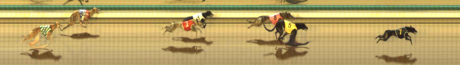 Photo finish for The Meadows Race 6