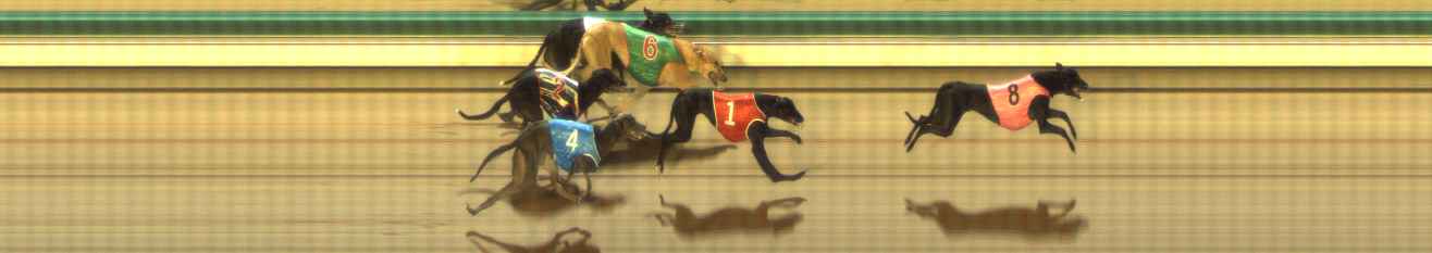 Photo finish for The Meadows Race 7