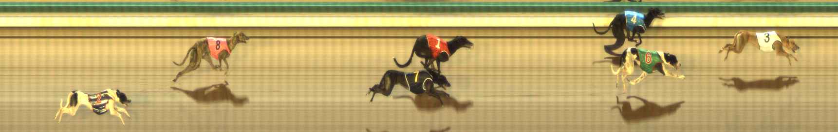 Photo finish for The Meadows Race 8