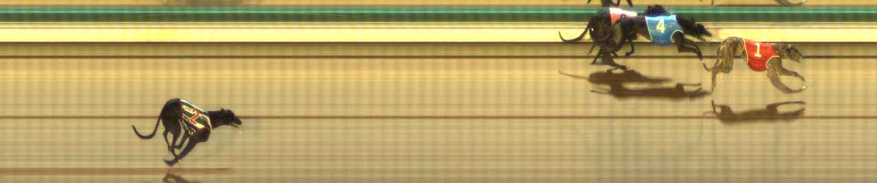 Photo finish for The Meadows Race 9
