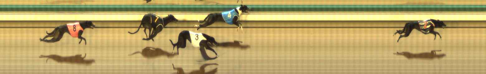 Photo finish for The Meadows Race 10