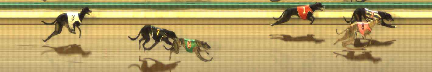 Photo finish for The Meadows Race 11