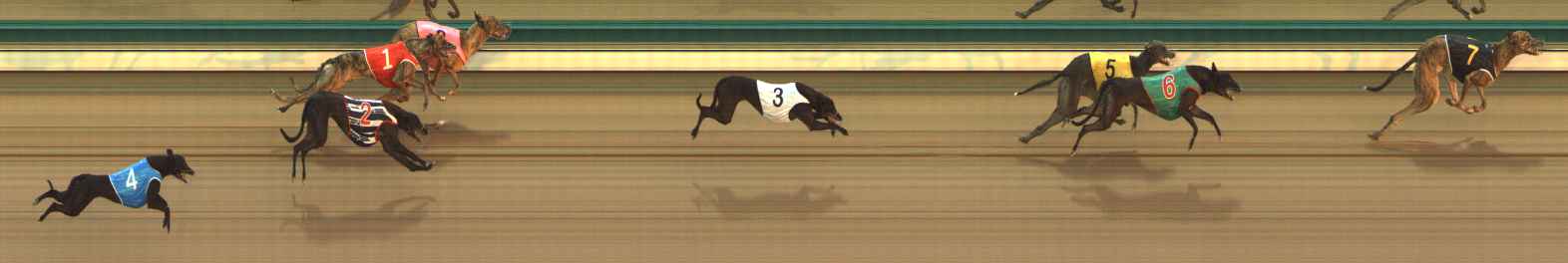 Photo finish for The Meadows Race 1
