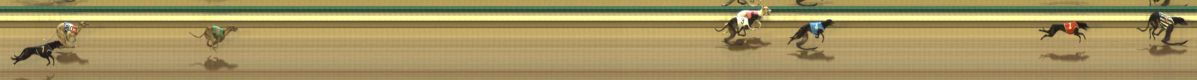 Photo finish for The Meadows Race 2