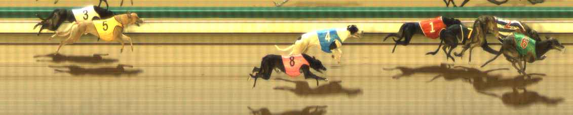 Photo finish for The Meadows Race 3