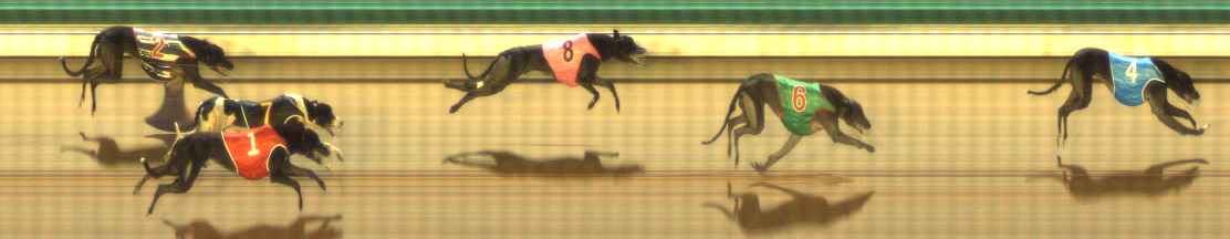 Photo finish for The Meadows Race 4