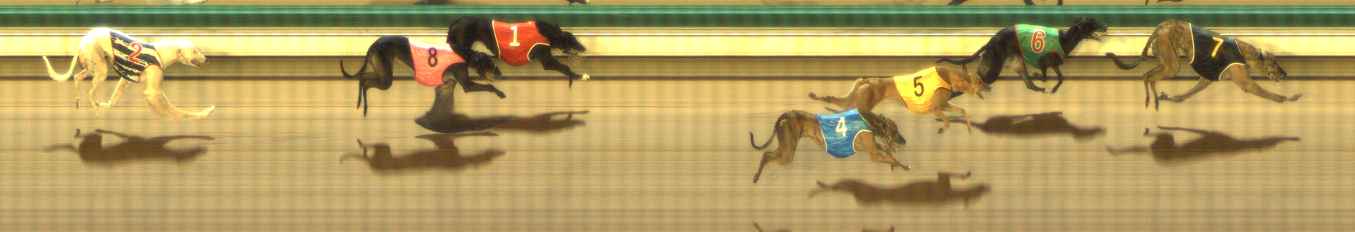 Photo finish for The Meadows Race 5
