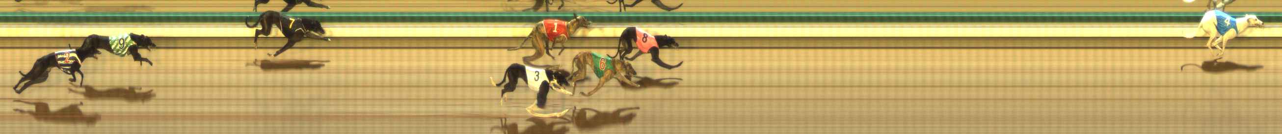 Photo finish for The Meadows Race 6