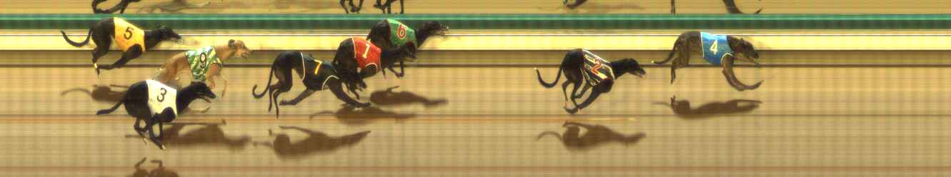 Photo finish for The Meadows Race 7