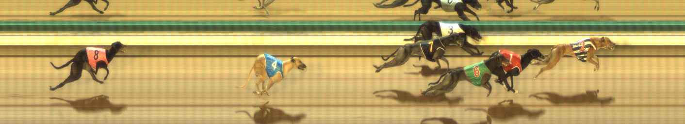 Photo finish for The Meadows Race 8