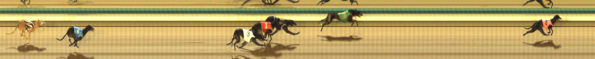 Photo finish for The Meadows Race 9