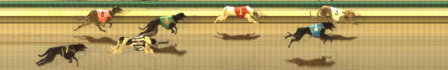 Photo finish for The Meadows Race 10