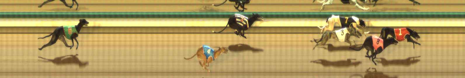 Photo finish for The Meadows Race 11