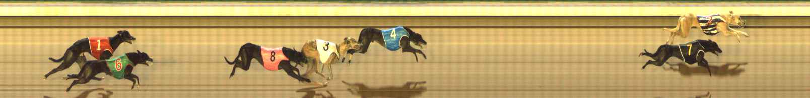 Photo finish for The Meadows Race 12