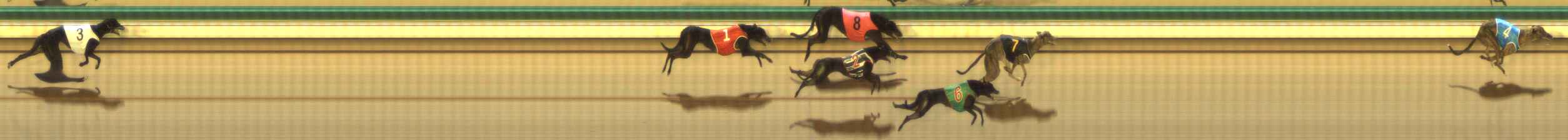 Photo finish for The Meadows Race 2