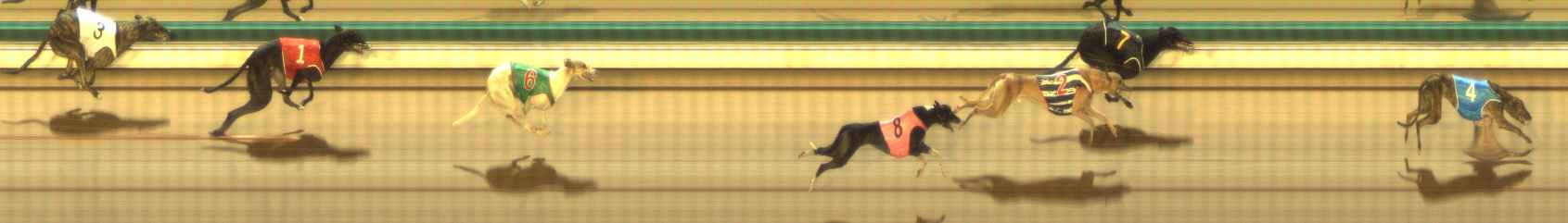 Photo finish for The Meadows Race 3