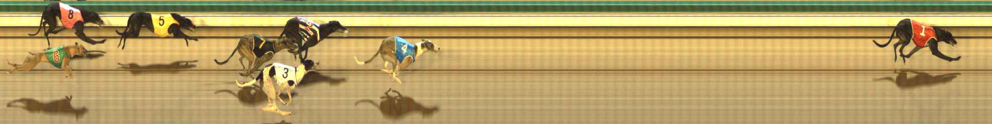 Photo finish for The Meadows Race 4