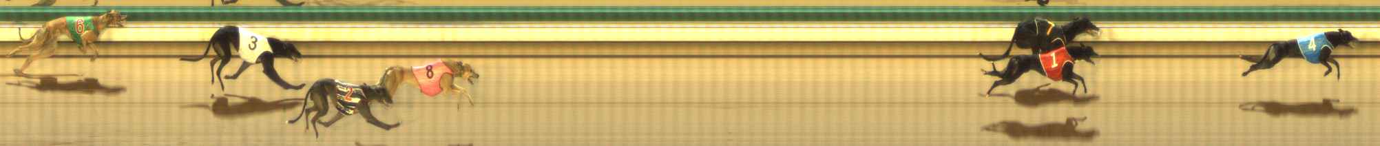 Photo finish for The Meadows Race 5