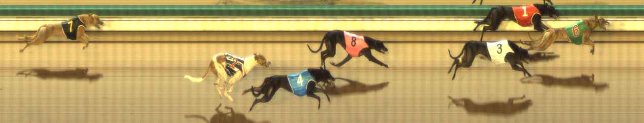 Photo finish for The Meadows Race 6