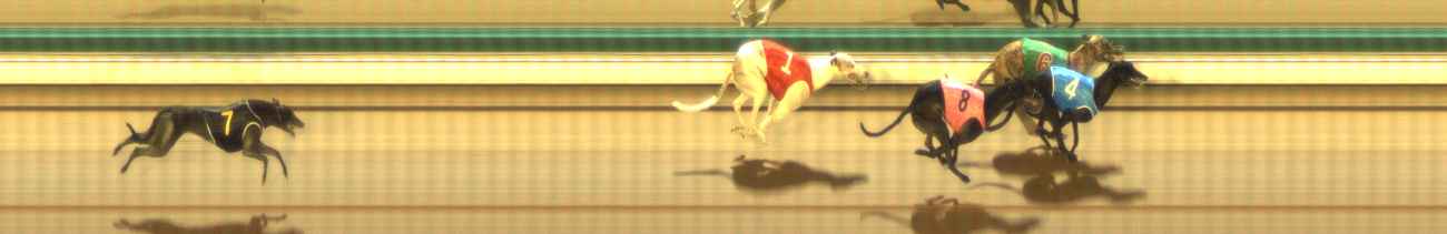 Photo finish for The Meadows Race 7