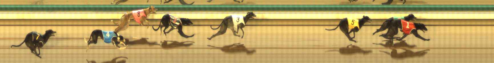 Photo finish for The Meadows Race 8