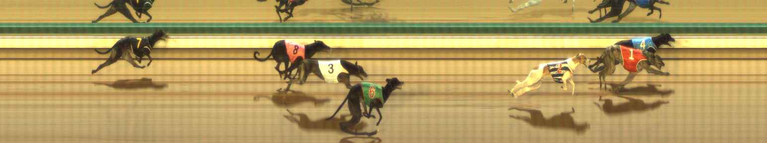 Photo finish for The Meadows Race 10