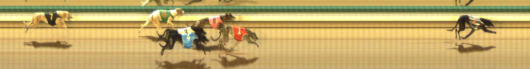Photo finish for The Meadows Race 11